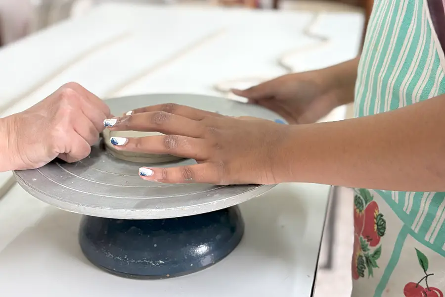 elfan-odv-fondazione-grimaldi