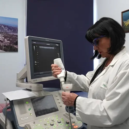 liberi-insieme-fondazione-grimaldi